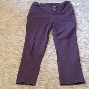 NWT Gloria Vanderbilt Purple Original Slimming Jean